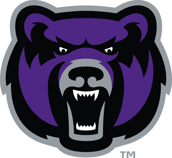 Central Arkansas Bears 2009-Pres Alternate Logo v8 iron on transfers for T-shirts